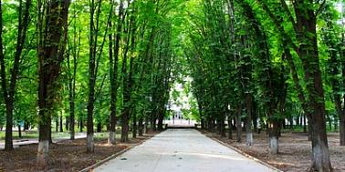 Доступные для инвалидов